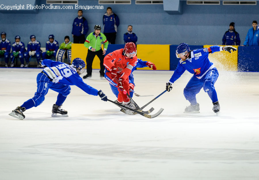 People, Person, Human, Arena, Hockey, Sport, Ice Hockey