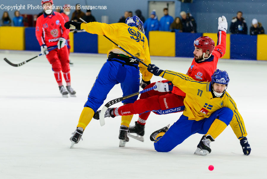 People, Person, Human, Ice Hockey, Rink, Arena, Hockey