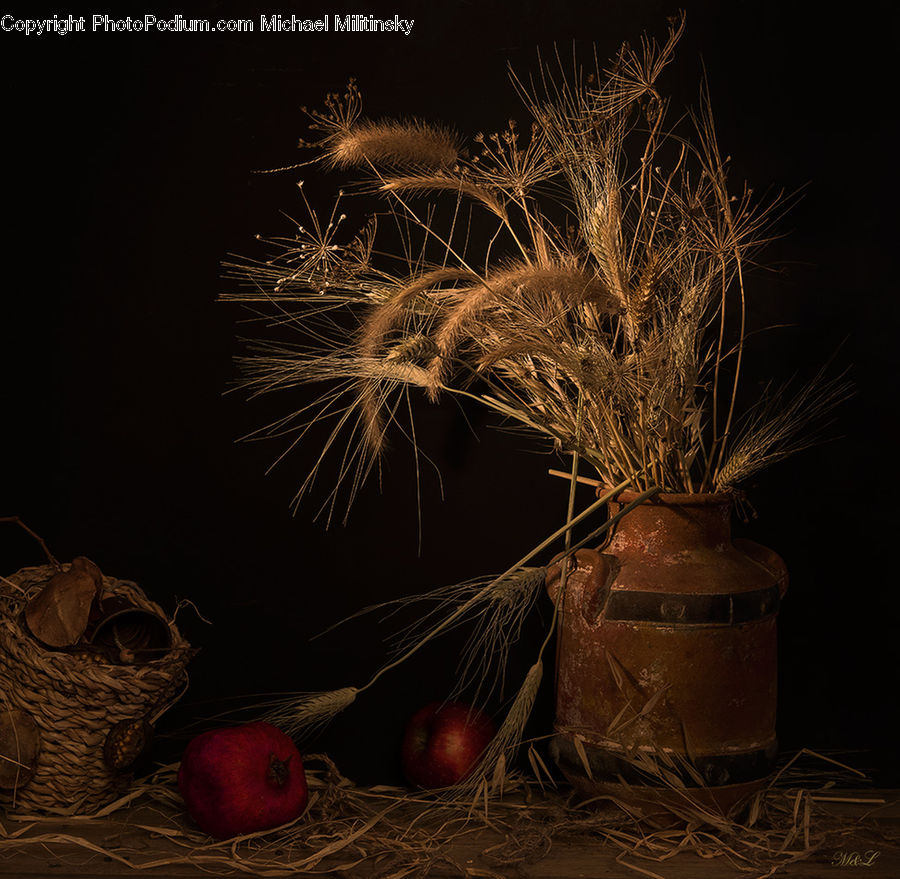 Field, Grass, Grassland, Plant, Basket