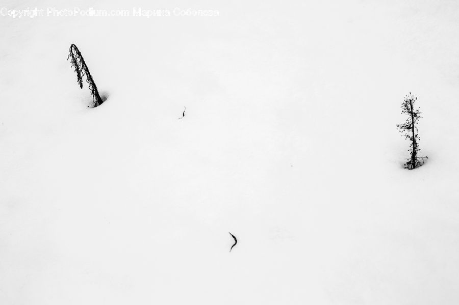 Ice, Outdoors, Snow, Flying, Adventure, Flight, Gliding
