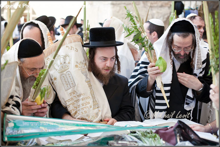 People, Person, Human, Plant, Potted Plant, Bazaar, Market