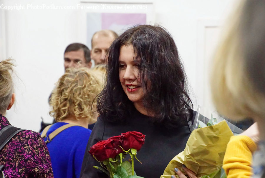 People, Person, Human, Blossom, Flower, Plant, Rose