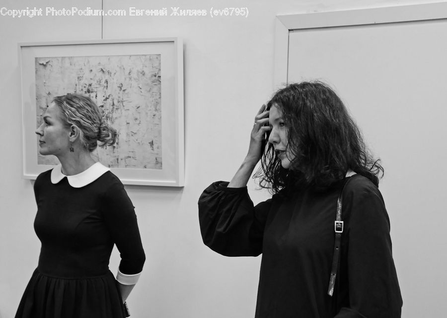 Human, People, Person, Back, Classroom, Portrait