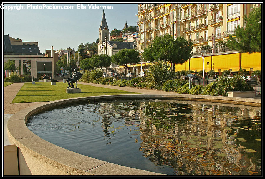 Plant, Potted Plant, Architecture, Downtown, Plaza, Town Square, Hotel