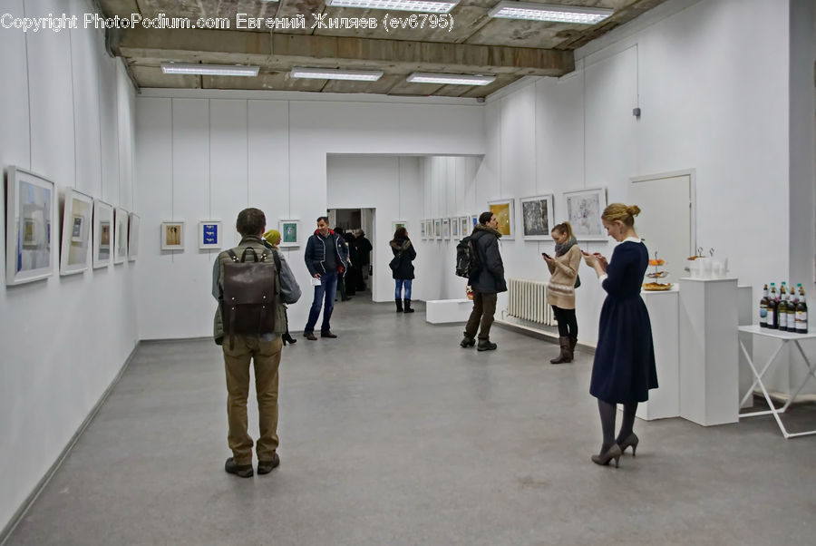 Human, People, Person, Art, Art Gallery, Female, Collage