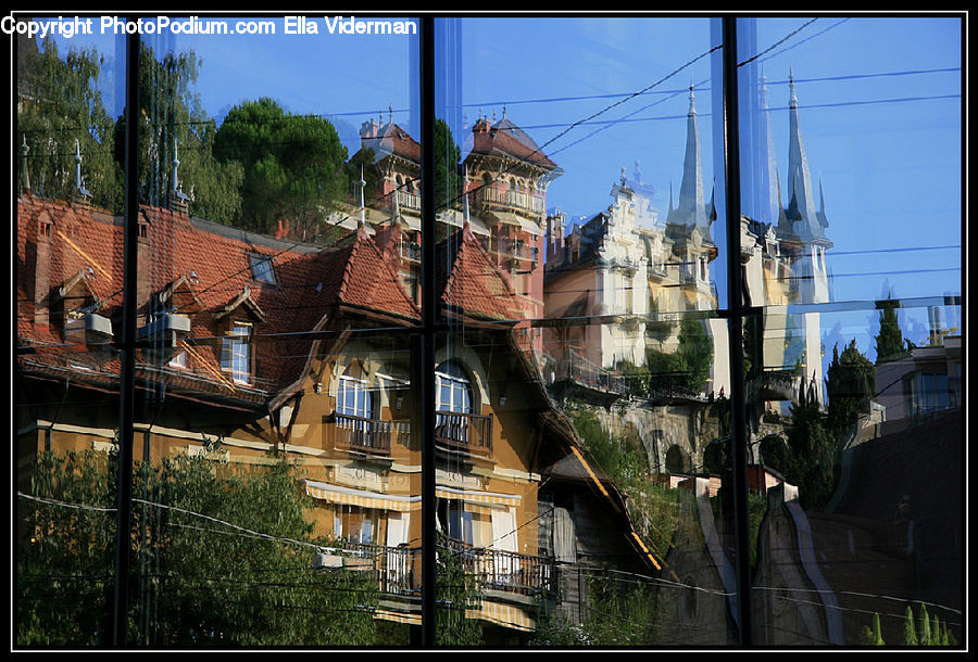 Plant, Potted Plant, Collage, Poster, Building, Housing, Villa