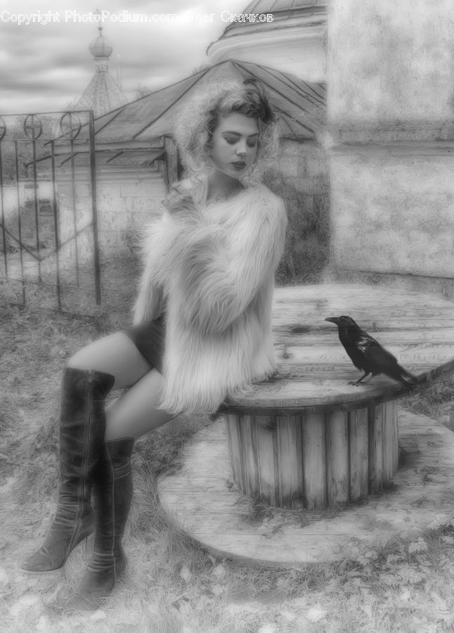 People, Person, Human, Bird, Blackbird, Crow, Footwear