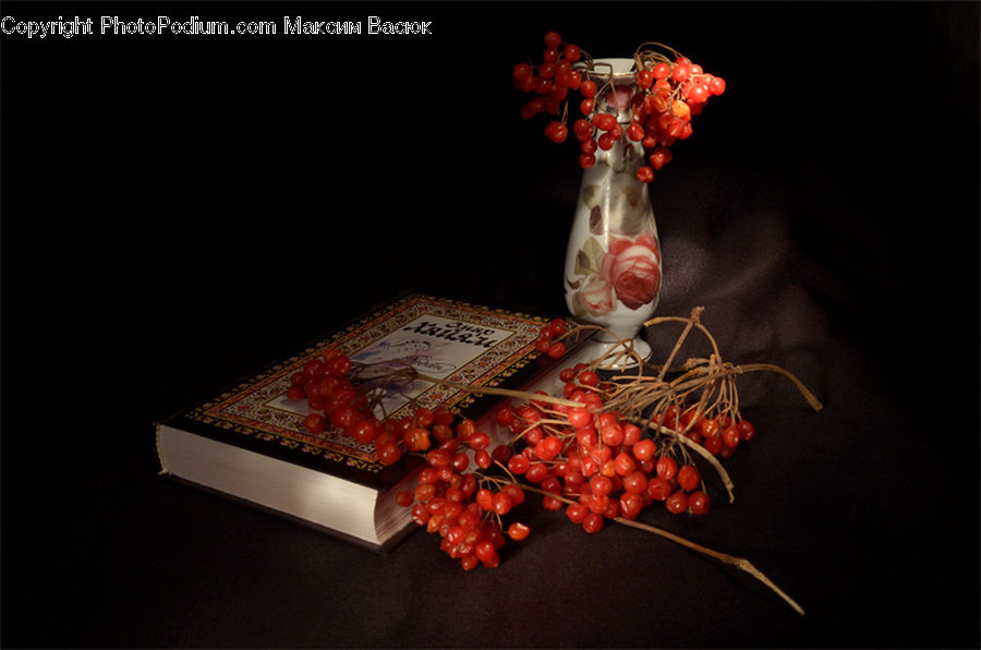 Jar, Porcelain, Vase, Flower Arrangement, Ikebana, Plant, Potted Plant