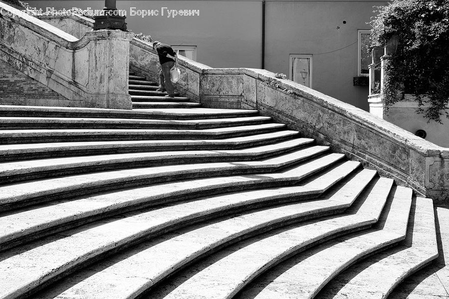 Bench, Amphitheater, Amphitheatre, Architecture, Person, Worker, Banister