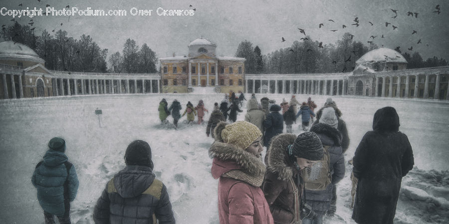 People, Person, Human, Ice, Outdoors, Snow, Crowd
