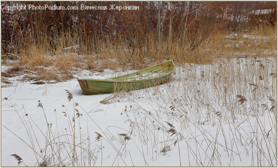 Boat, Rowboat, Vessel, Grass, Plant, Reed, Field