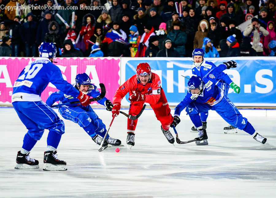 People, Person, Human, Ice Hockey, Rink, Arena, Hockey