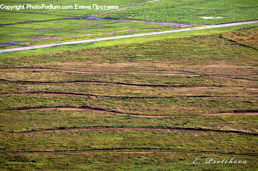 Field, Grass, Grassland, Land, Outdoors, Plant, Dirt Road