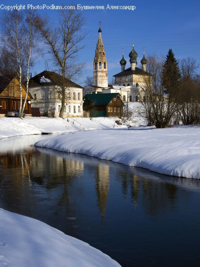 Building, Cottage, Housing, Birch, Tree, Wood, Architecture
