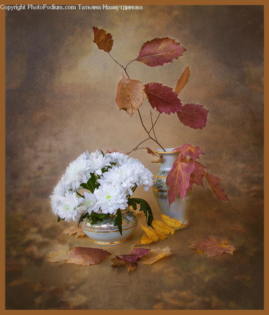 Plant, Potted Plant, Flower, Flower Arrangement, Flower Bouquet, Paper, Floral Design