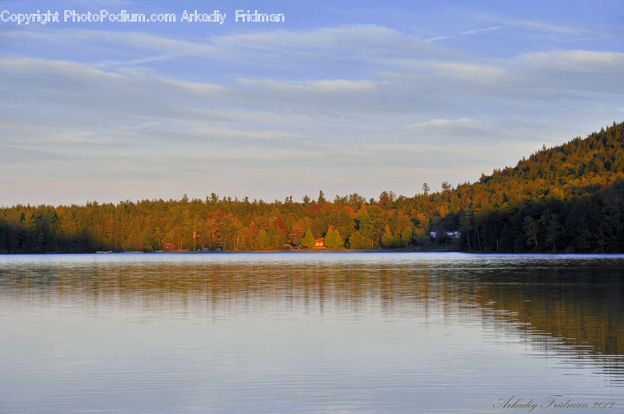 Lake, Outdoors, Water, Forest, Vegetation, River, Conifer