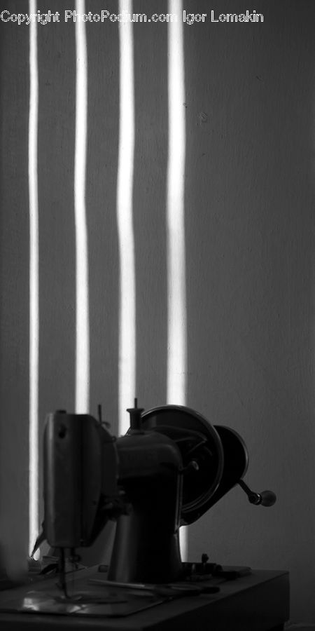 Chair, Furniture