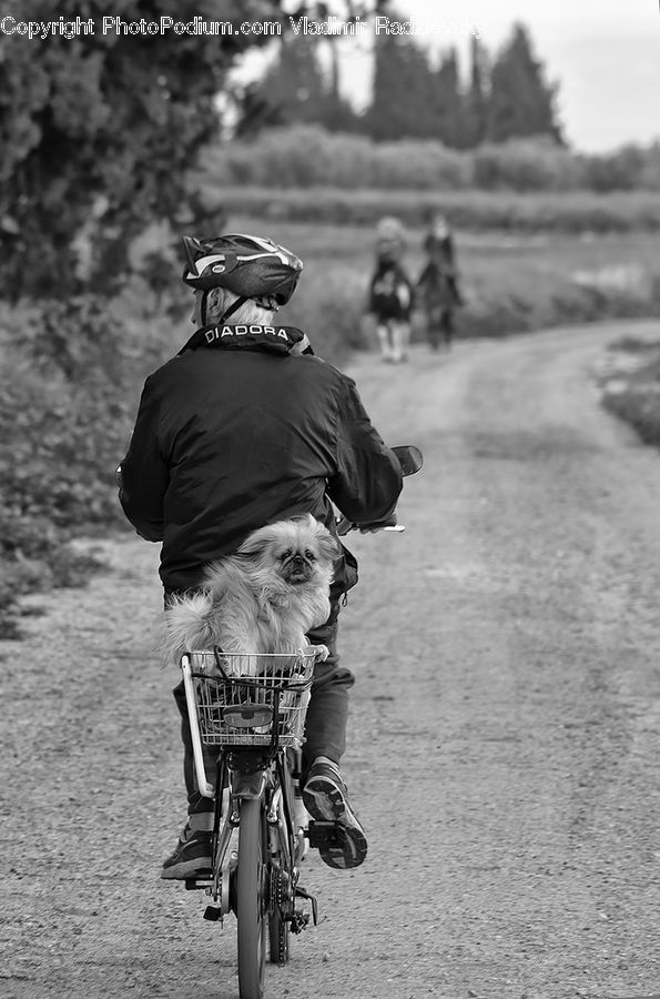 People, Person, Human, Bicycle, Bike, Cyclist, Vehicle