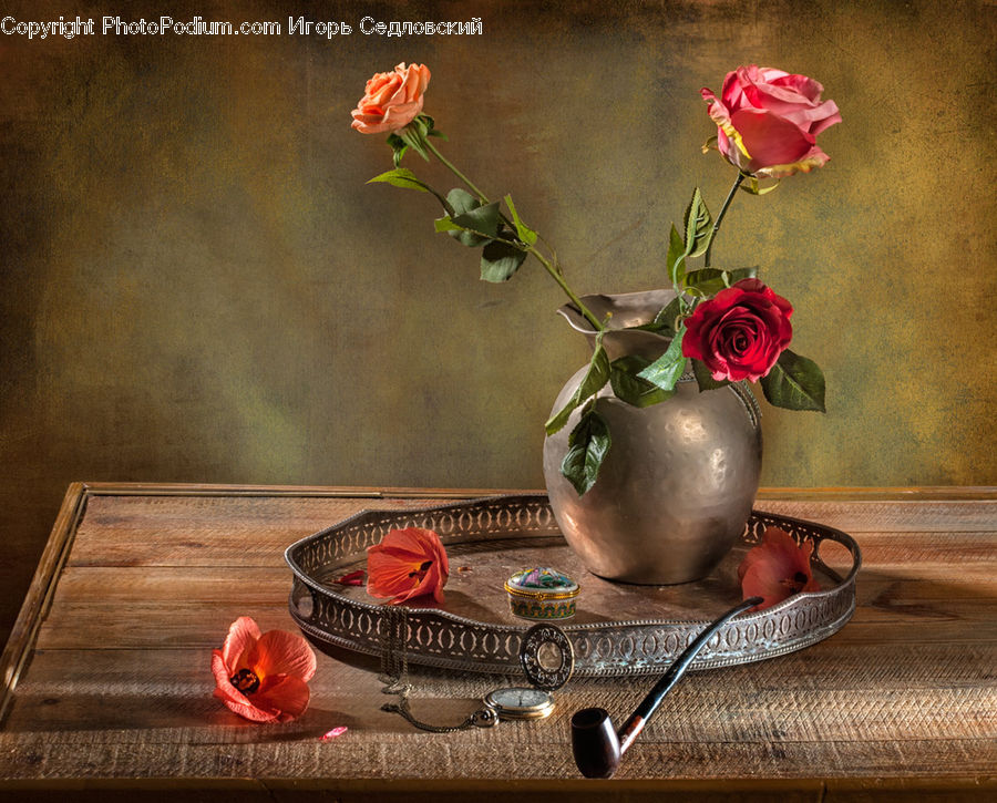 Blossom, Flower, Plant, Rose, Potted Plant, Glass, Goblet