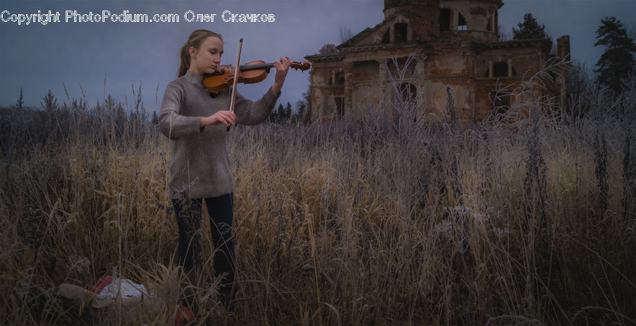 People, Person, Human, Cello, Fiddle, Musical Instrument, Violin