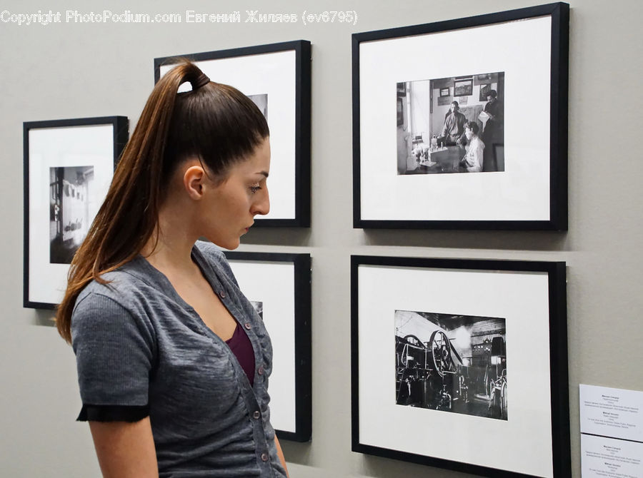 Human, People, Person, Collage, Poster, Braid, Hair