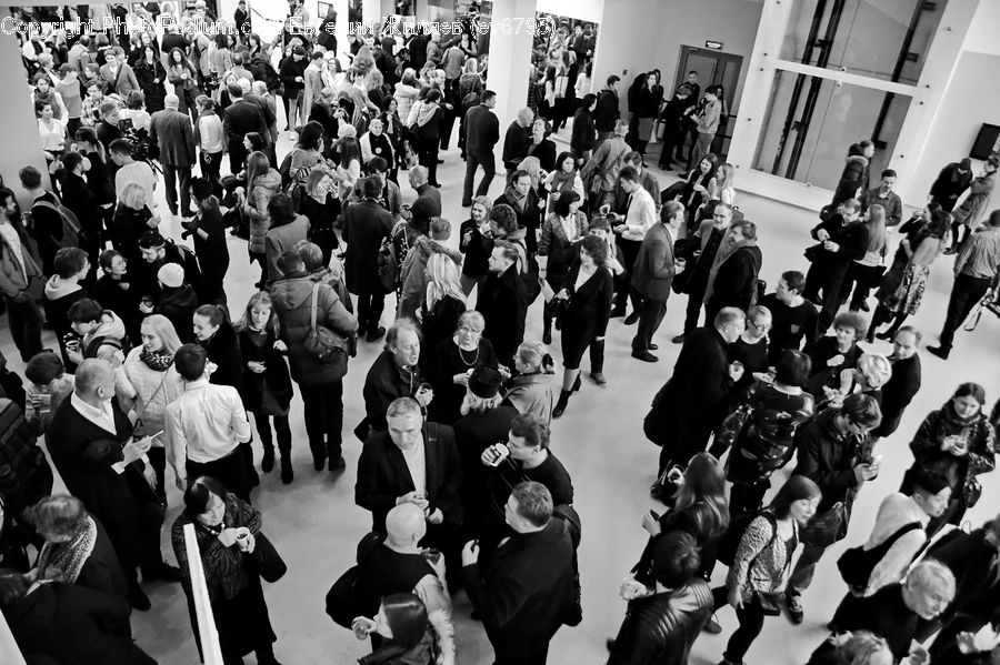 People, Person, Human, Crowd, Classroom, School, Audience