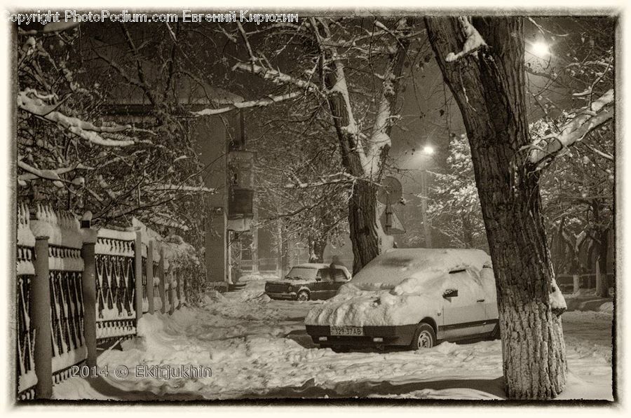 Ice, Outdoors, Snow, Car, Van, Plant, Tree