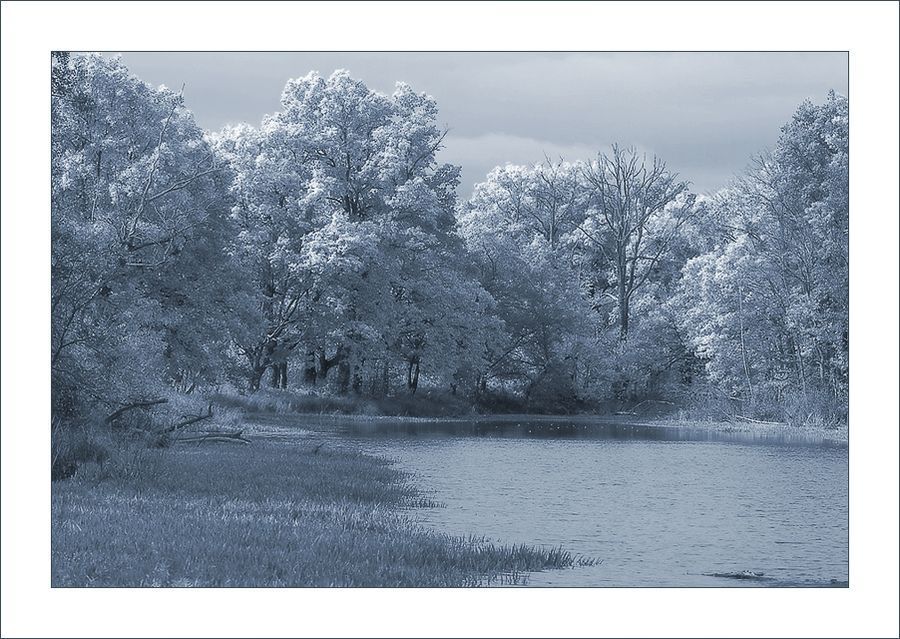 Frost, Ice, Outdoors, Snow, Landscape, Nature, Scenery