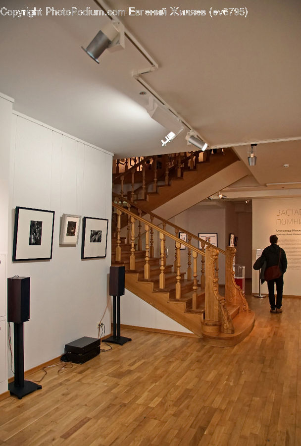 Hardwood, Wood, Art, Art Gallery, Floor, Flooring, Dining Room