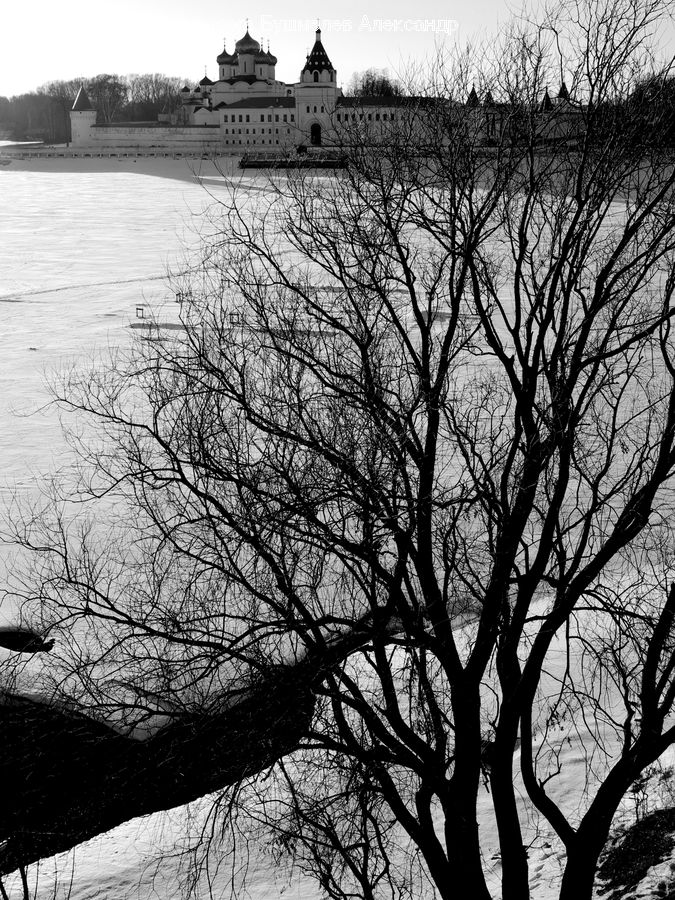 Plant, Tree, Architecture, Castle, Fort, Silhouette, Dusk