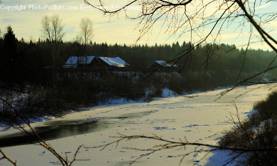 Land, Marsh, Outdoors, Swamp, Water, Sand, Soil