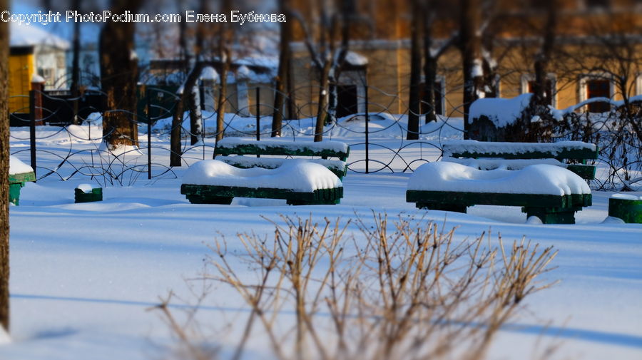 Ice, Outdoors, Snow, Bench, Birch, Tree, Wood