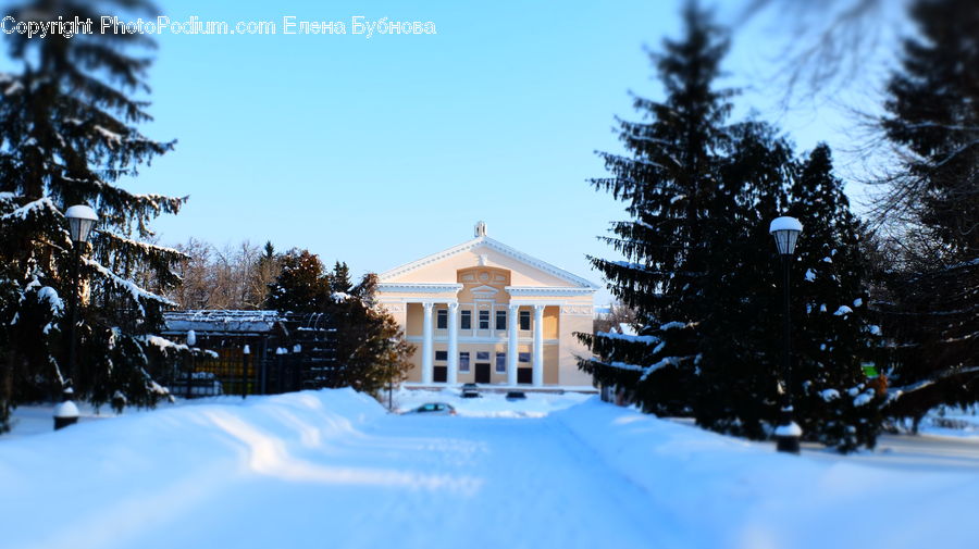 Building, Housing, Villa, Ice, Outdoors, Snow, Conifer