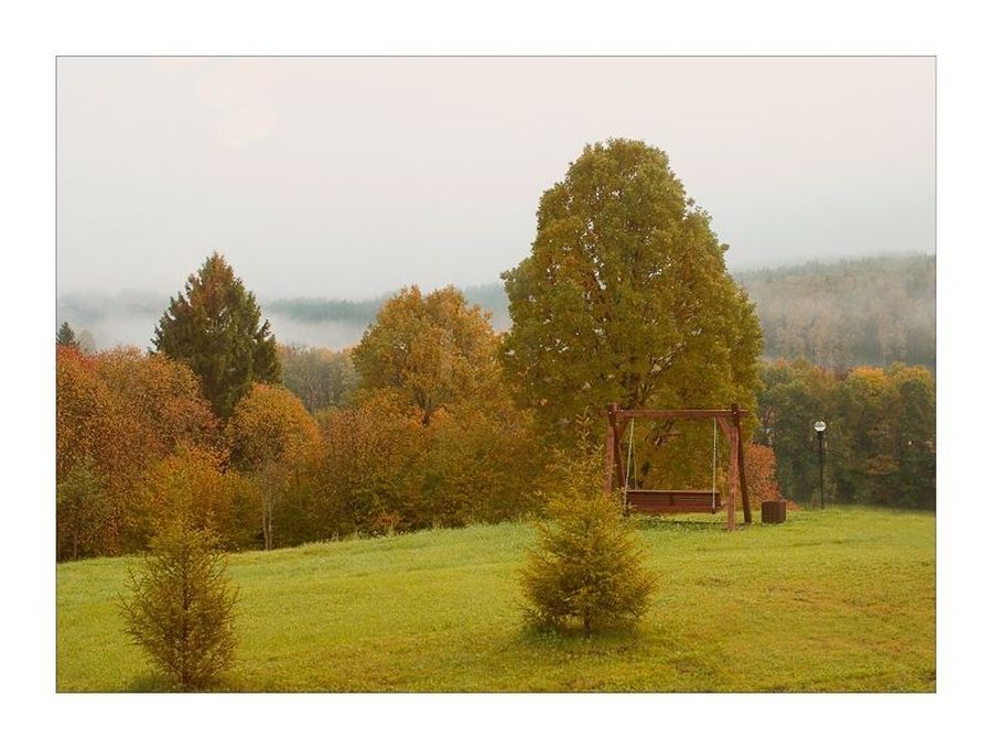 Bench, Oak, Tree, Wood, Field, Grass, Grassland