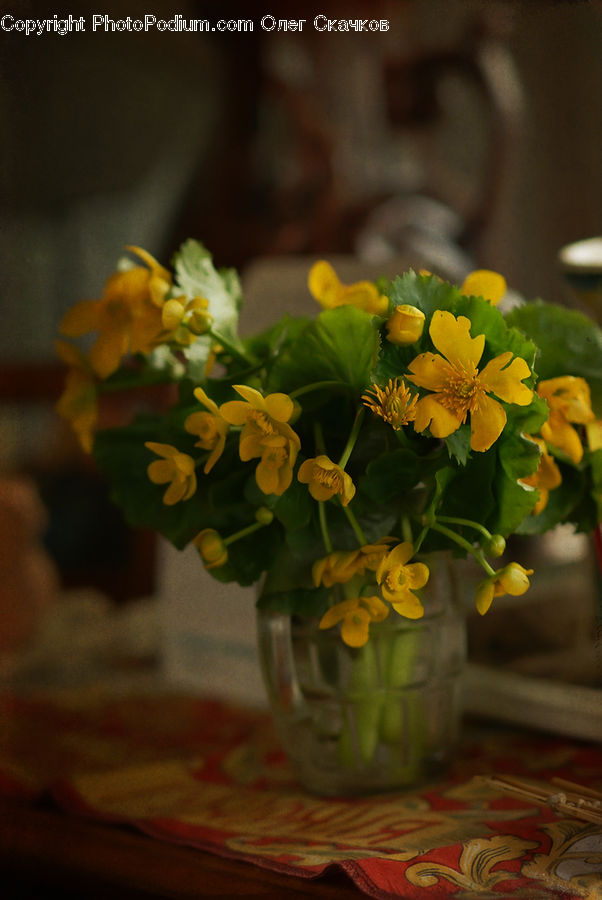 Plant, Potted Plant, Floral Design, Flower, Flower Arrangement, Flower Bouquet, Ikebana