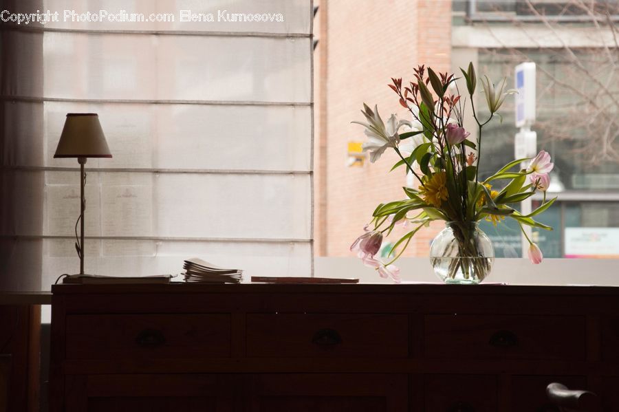 Plant, Potted Plant, Furniture, Lamp, Lampshade, Table Lamp, Flower Arrangement