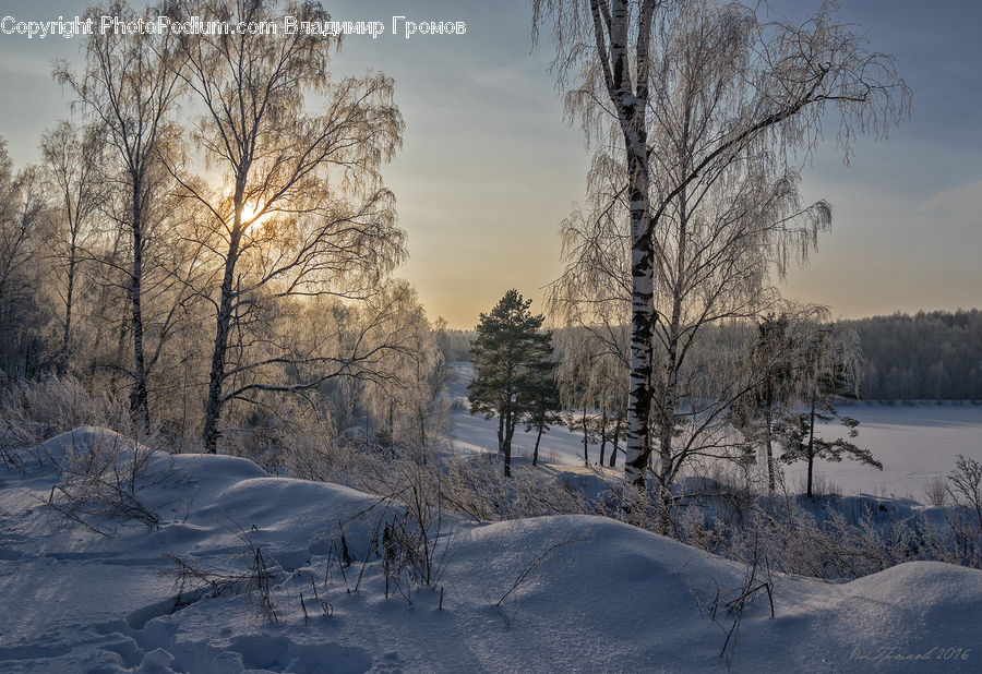 Blizzard, Outdoors, Snow, Weather, Winter, Landscape, Nature