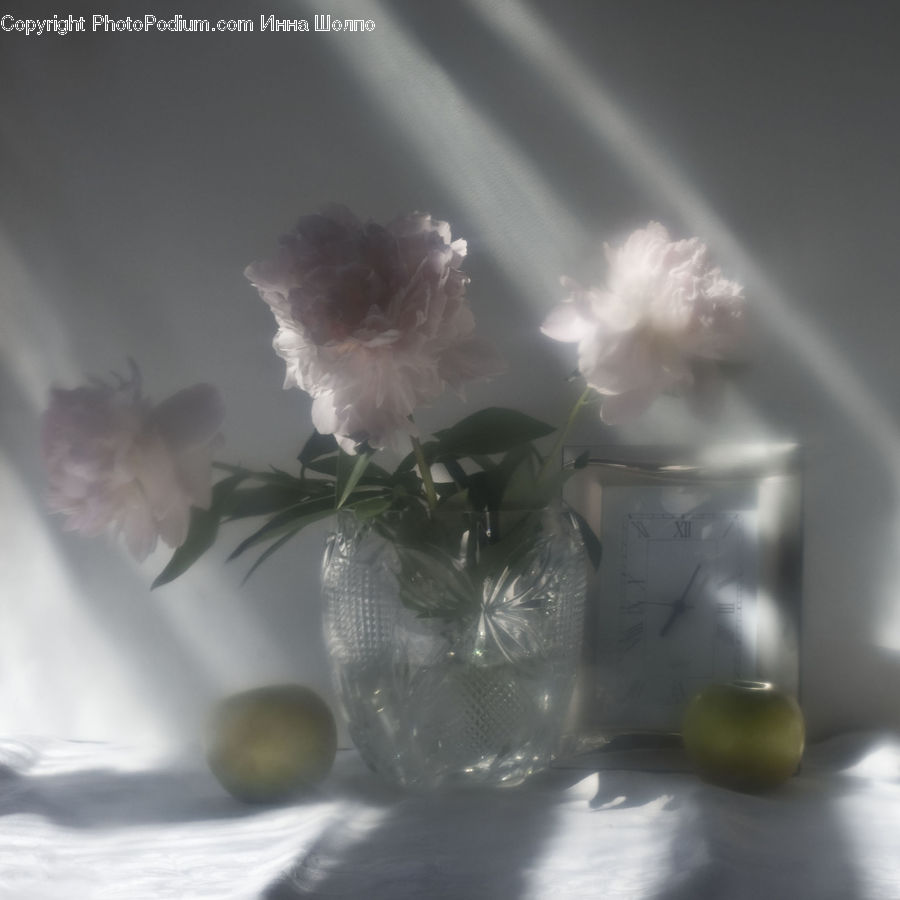 Flower, Flower Arrangement, Flower Bouquet, Lighting, Blossom, Carnation, Plant