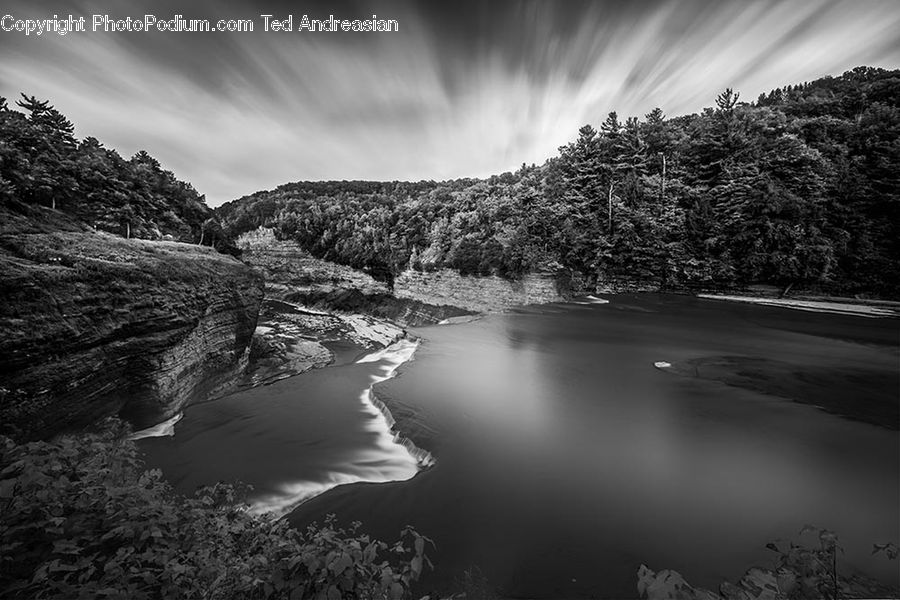 Outdoors, River, Water, Asphalt, Tarmac, Forest, Vegetation