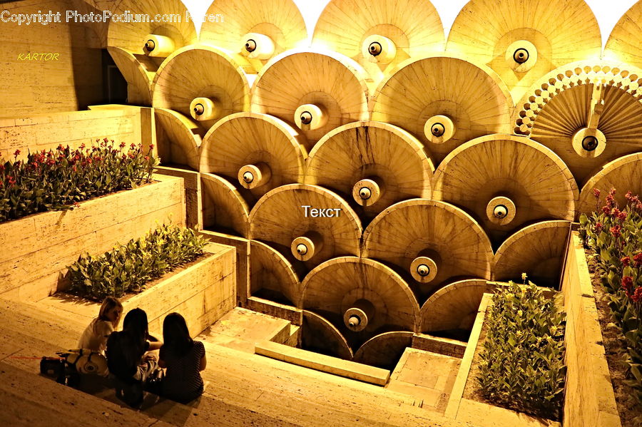 Plant, Tobacco, Outdoors, Sand, Soil, Crowd, Indoors