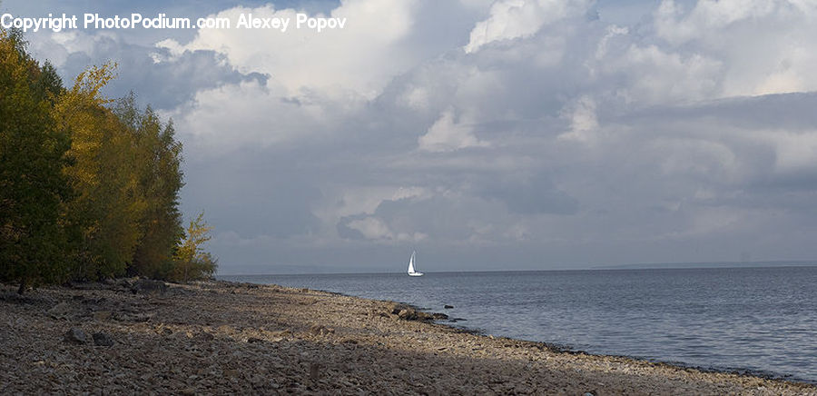 Cloud, Cumulus, Sky, Beach, Coast, Outdoors, Sea