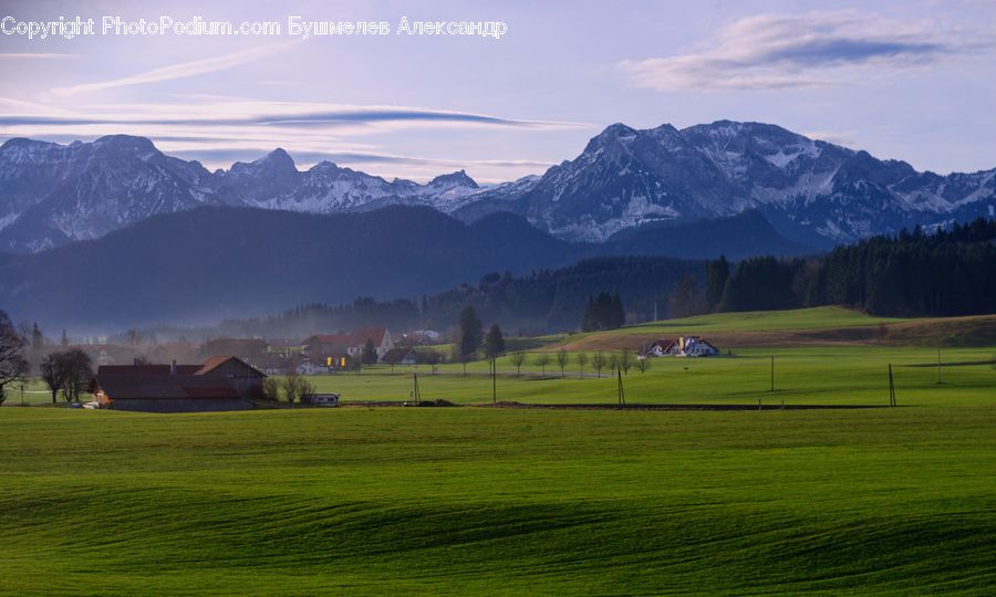 Field, Grass, Grassland, Land, Outdoors, Countryside, Rural