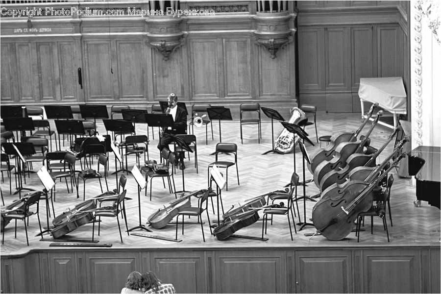 Chair, Furniture, Cello, Musical Instrument, Classroom, Cafe, Cafeteria