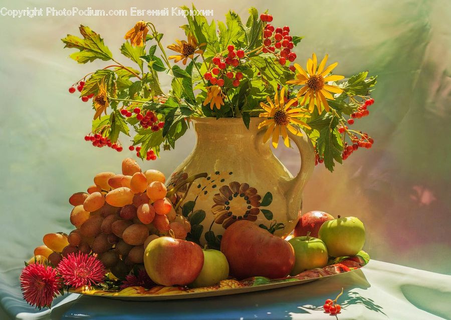 Plant, Potted Plant, Fruit, Grapes, Glass, Goblet, Blossom