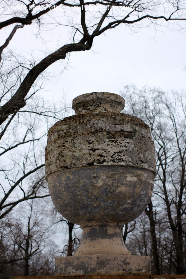 Ancient Egypt, Birch, Tree, Wood, Rock, Plant, Furniture