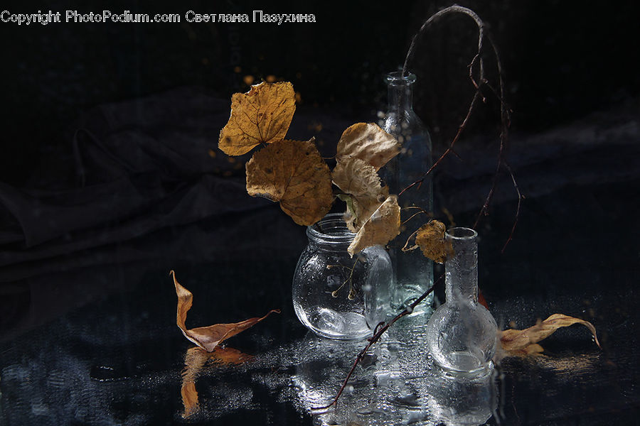 Glass, Goblet, Jar, Water