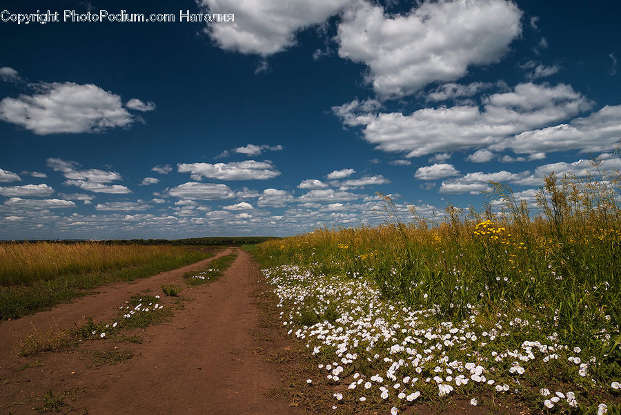 Dirt Road, Gravel, Road