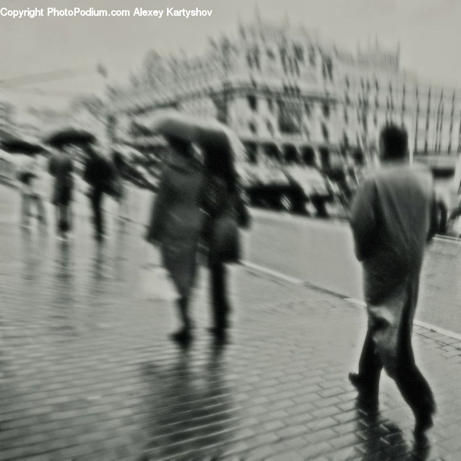 People, Person, Human, Dock, Landing, Pier, Back