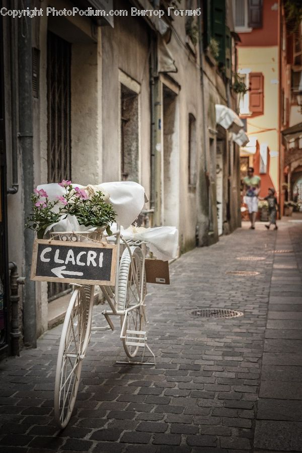 Chair, Furniture, People, Person, Human, Plant, Potted Plant