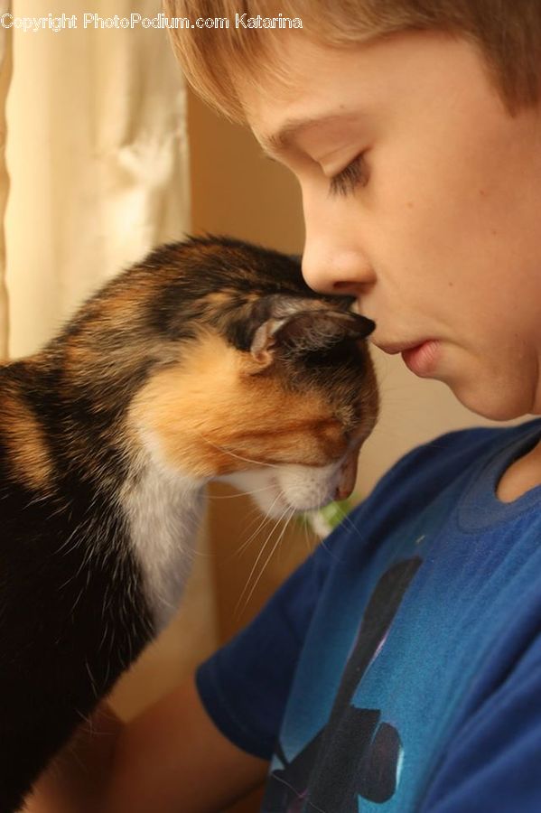Hug, Kiss, Face